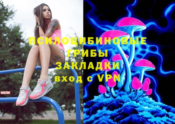 героин Михайлов