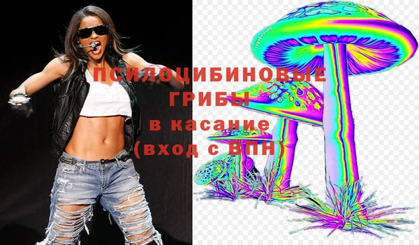 apvp Анжеро-Судженск