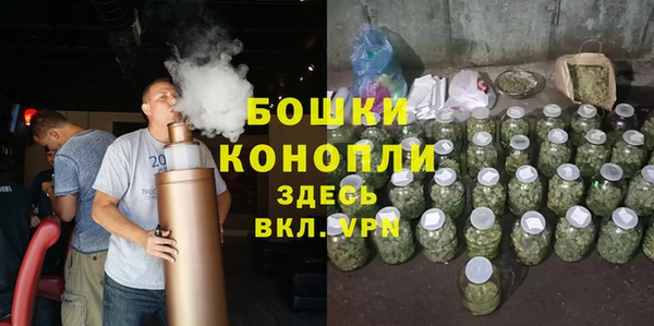 ГАЛЛЮЦИНОГЕННЫЕ ГРИБЫ Наволоки